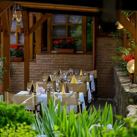 Voelgy Wellness & Konferencia Έγκερ