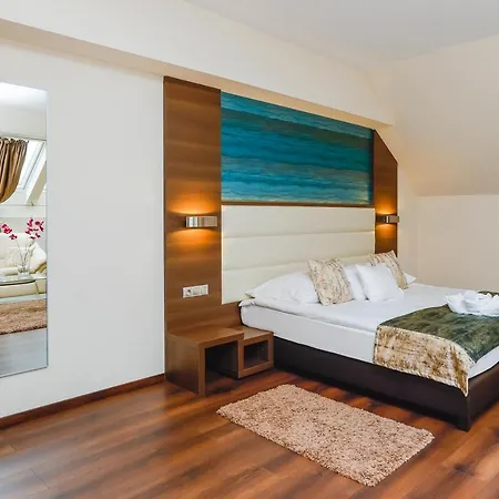 Voelgy Wellness & Konferencia Ξενοδοχείο