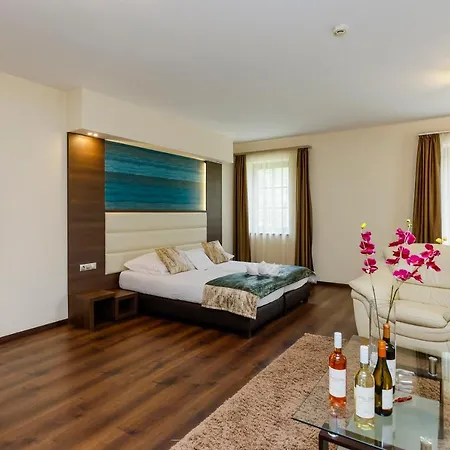 Voelgy Wellness & Konferencia Ξενοδοχείο