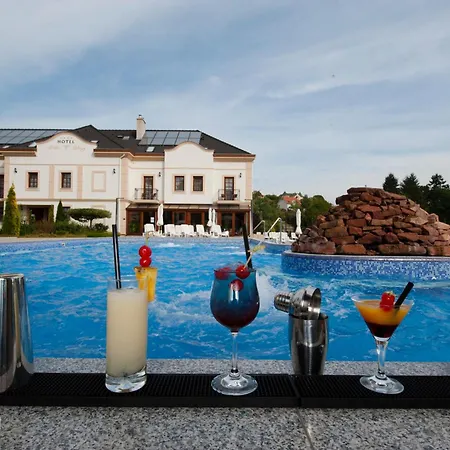 호텔 Voelgy Wellness & Konferencia 에게르