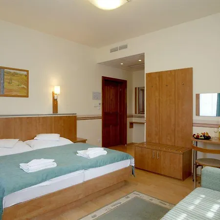 Voelgy Wellness & Konferencia Ξενοδοχείο