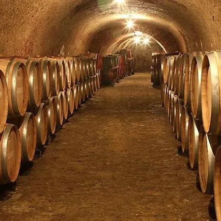 Voelgy Wellness & Konferencia Έγκερ