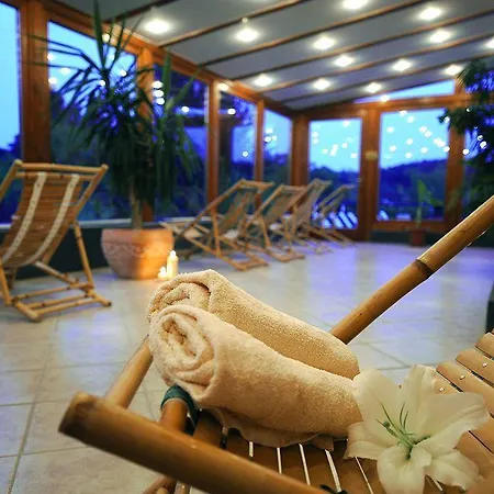 Voelgy Wellness & Konferencia Ξενοδοχείο