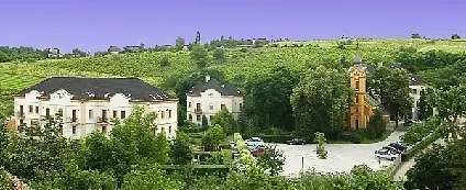 Ξενοδοχείο Voelgy Wellness & Konferencia