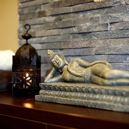 Voelgy Wellness & Konferencia